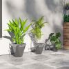 Set of 3 MgO Tall Planters Indoor Outdoor Stackable Flower Pots with Drainage Holes for Garden Balcony Gray