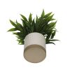 (4 pack) 8" Artificial Tealeaf in White Two-Tone Ribbed Ceramic Pot